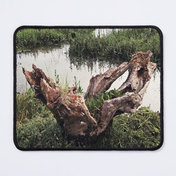 Item preview, The Sacred Tree designed and sold by Murph's Images.