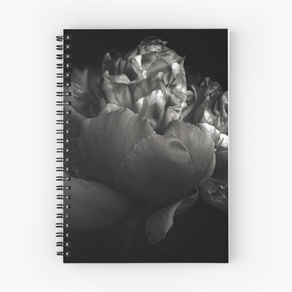 Item preview, Shades of a Peony designed and sold by Jessica Jenney.