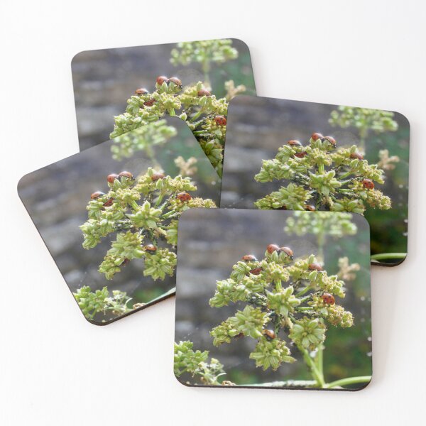 Item preview, Colony of Aphids with Ants and Ladybirds on Lovage designed and sold by Kate Anderson Art.