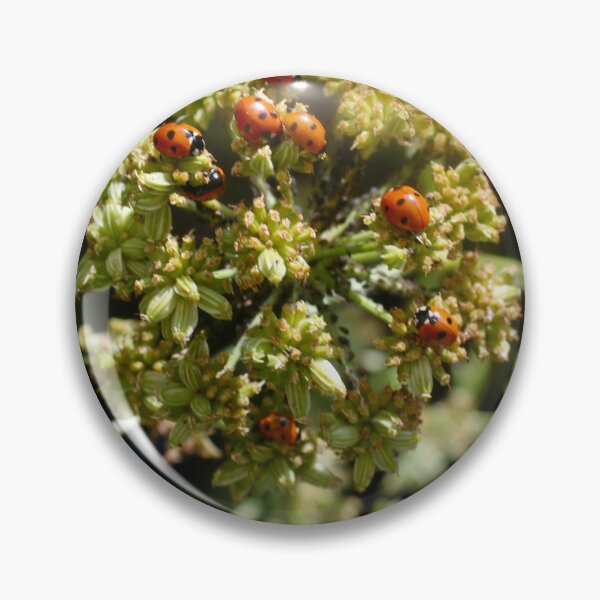 Item preview, Colony of Aphids with Ants and Ladybirds on Lovage designed and sold by Kate Anderson Art.