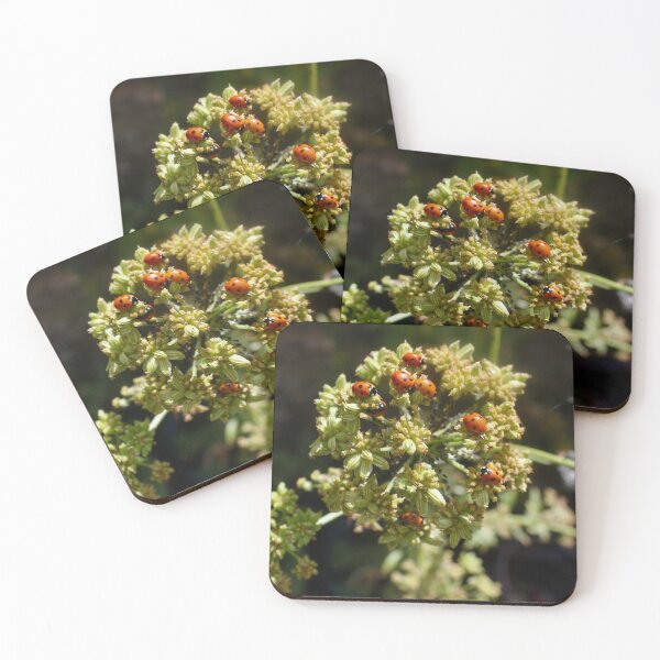 Item preview, Colony of Aphids with Ants and Ladybirds on Lovage designed and sold by Kate Anderson Art.