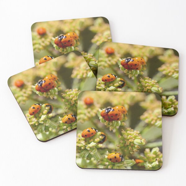 Item preview, Colony of Aphids with Ants and Ladybirds on Lovage designed and sold by Kate Anderson Art.