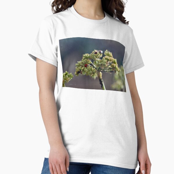 Item preview, Colony of Aphids with Ants and Ladybirds on Lovage designed and sold by Kate Anderson Art.