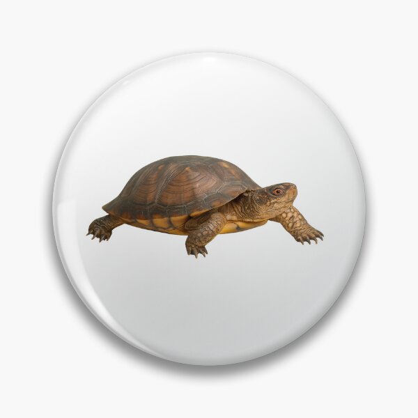 Item preview, Realistic Eastern Box Turtle designed and sold by Moshop08.