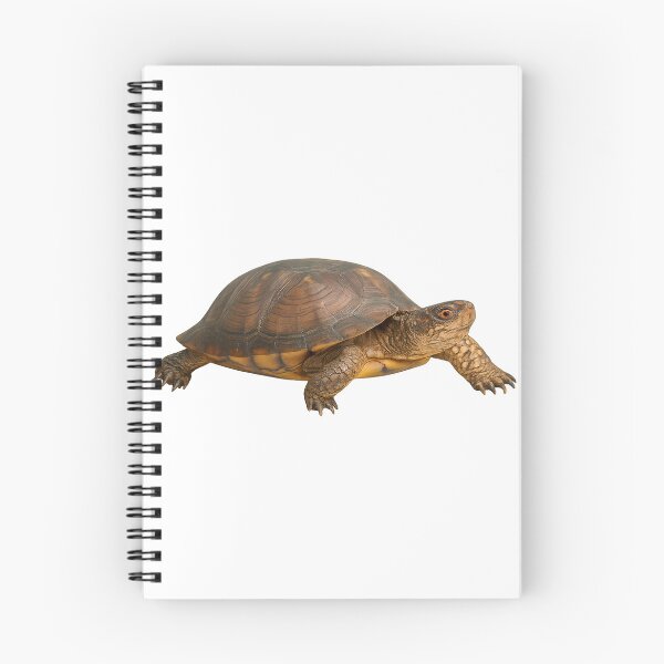 Item preview, Realistic Eastern Box Turtle designed and sold by Moshop08.