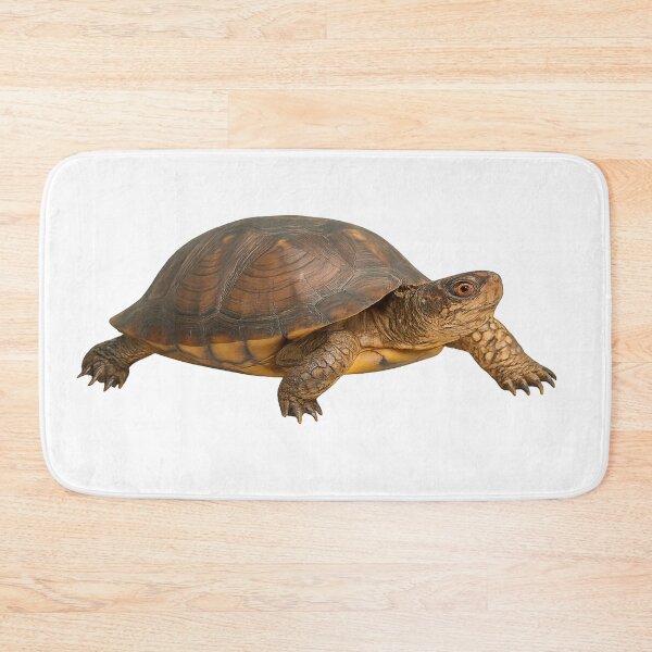 Item preview, Realistic Eastern Box Turtle designed and sold by Moshop08.