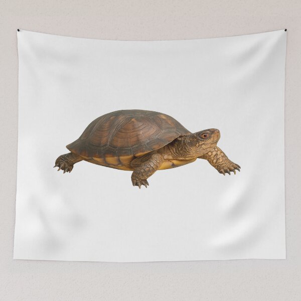 Item preview, Realistic Eastern Box Turtle designed and sold by Moshop08.