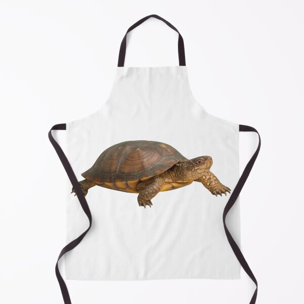 Item preview, Realistic Eastern Box Turtle designed and sold by Moshop08.