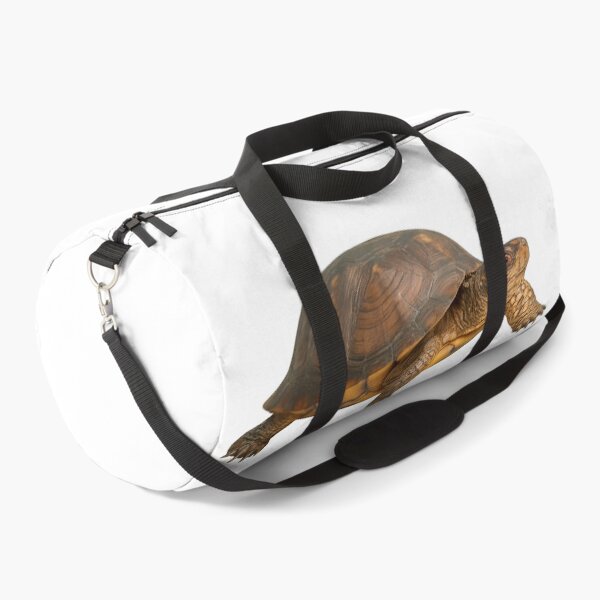 Item preview, Realistic Eastern Box Turtle designed and sold by Moshop08.