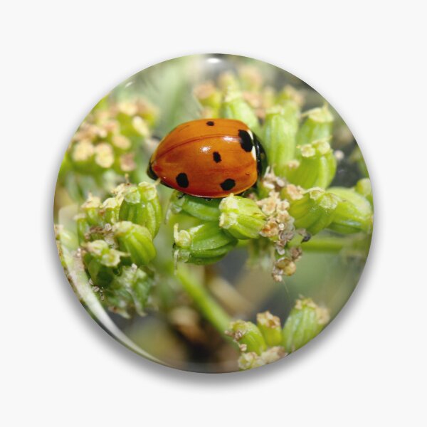 Item preview, Colony of Aphids with Ants and Ladybirds on Lovage designed and sold by Kate Anderson Art.