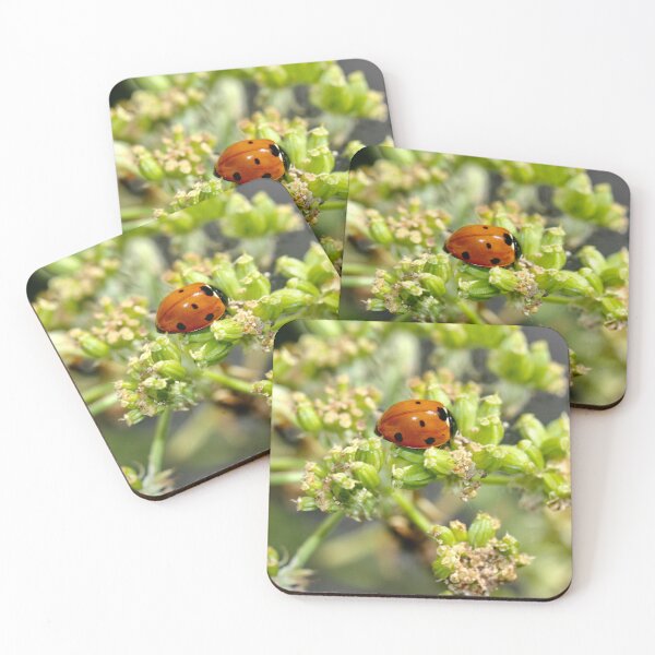Item preview, Colony of Aphids with Ants and Ladybirds on Lovage designed and sold by Kate Anderson Art.