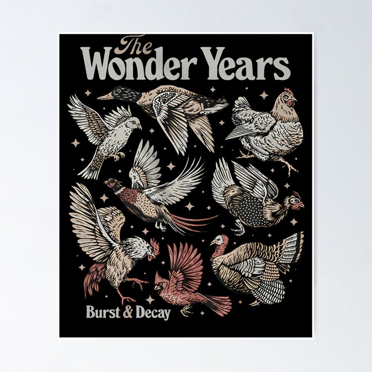 the wonder years merch Poster