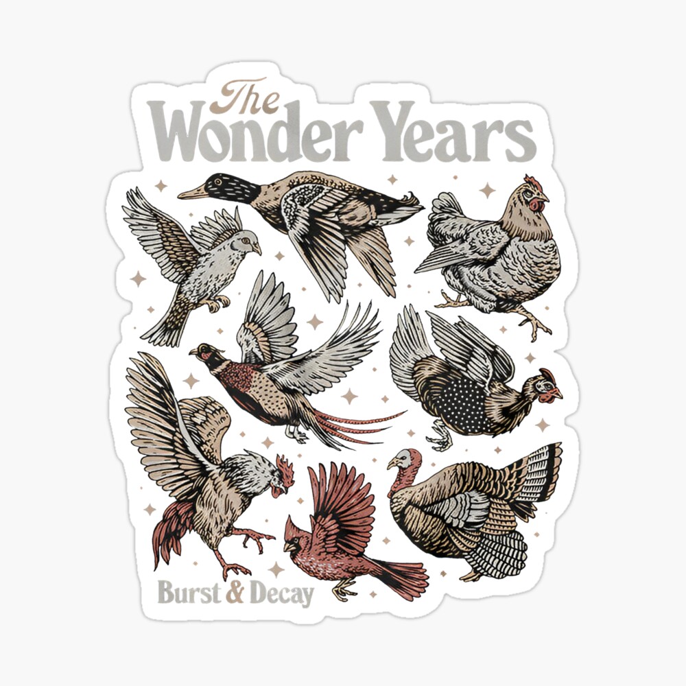 the wonder years merch Poster