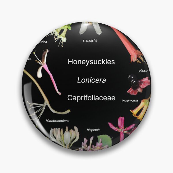 Item preview, Lonicera of San Francisco Botanical Garden designed and sold by Ricardo Kriebel.