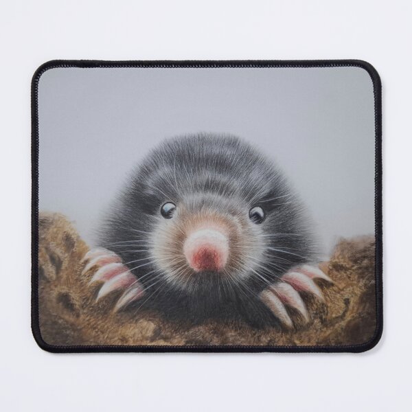 Item preview, Mole coming out of his hole designed and sold by Annagibbsart.