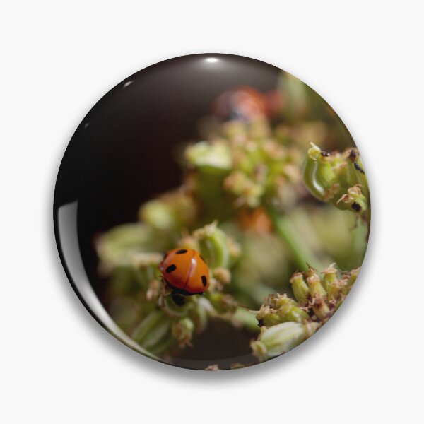 Item preview, Colony of Aphids with Ants and Ladybirds on Lovage designed and sold by Kate Anderson Art.