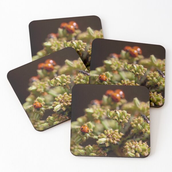 Item preview, Colony of Aphids with Ants and Ladybirds on Lovage designed and sold by Kate Anderson Art.