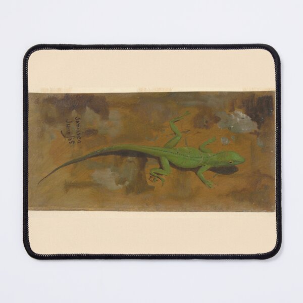 Item preview, Drawing of a Lizard June 1865 by Frederic Edwin Church  designed and sold by Amanda1775.