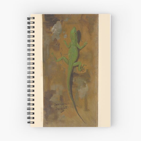 Item preview, Drawing of a Lizard June 1865 by Frederic Edwin Church  designed and sold by Amanda1775.