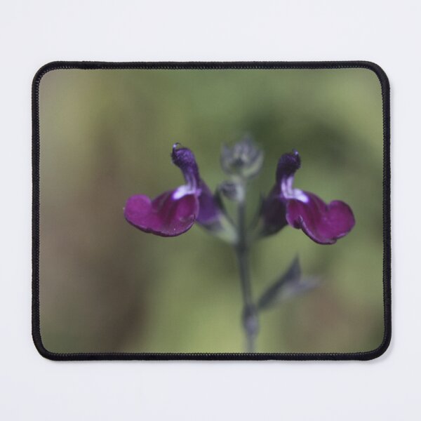 Item preview, Purple Salvia Flower designed and sold by Kate Anderson Art.