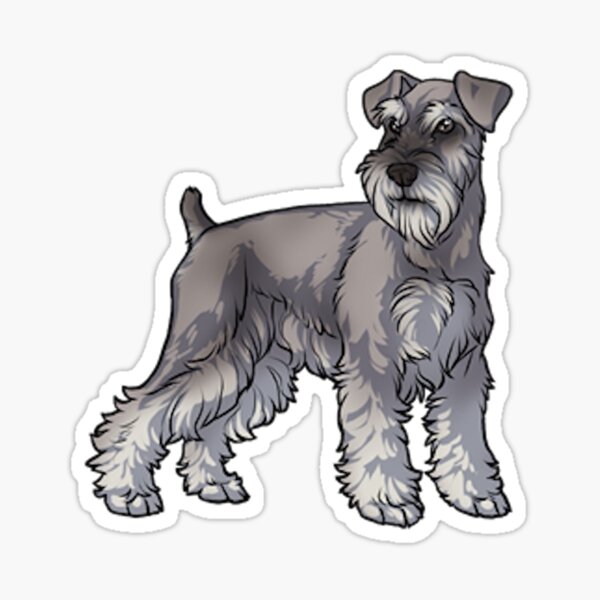 Schnauzer Dog Sticker Decal Pair 