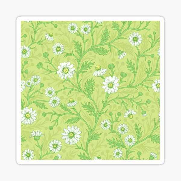 Daisies in white and green on honey dew green Sticker