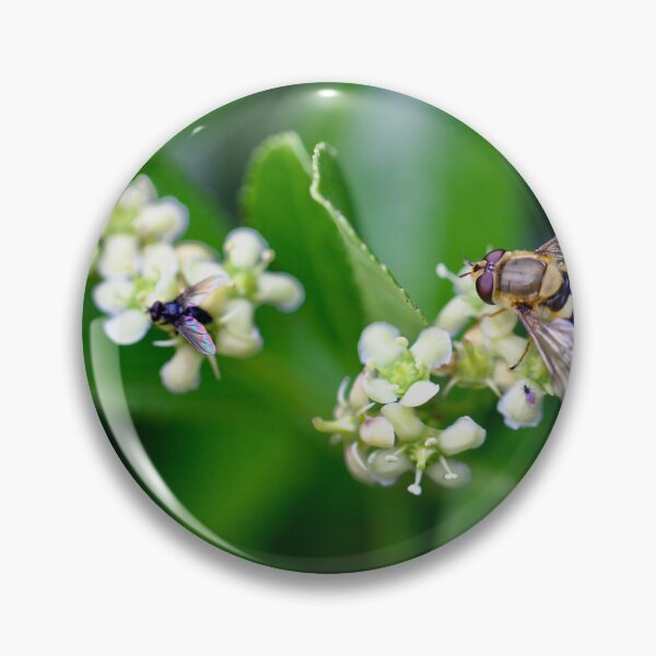 Item preview, Hoverfly on a shrub designed and sold by Kate Anderson Art.