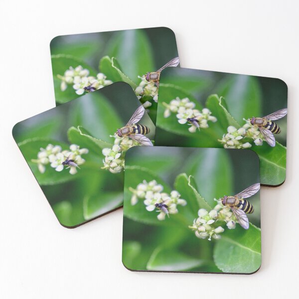 Item preview, Hoverfly on a shrub designed and sold by Kate Anderson Art.