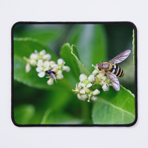 Item preview, Hoverfly on a shrub designed and sold by Kate Anderson Art.
