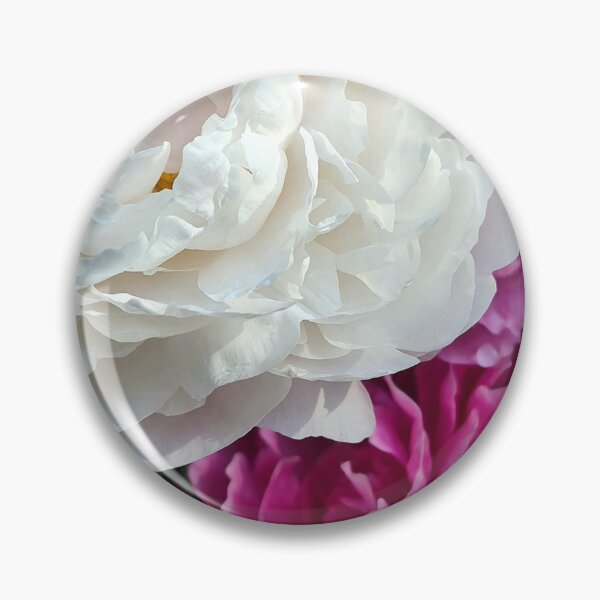 Item preview, Pink and white Chinese peonies designed and sold by bluerosesart37.
