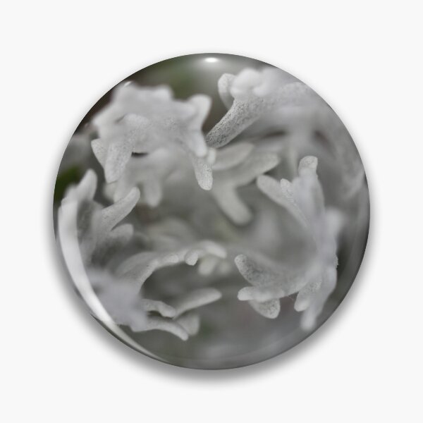 Item preview, Silver Ragwort designed and sold by Kate Anderson Art.
