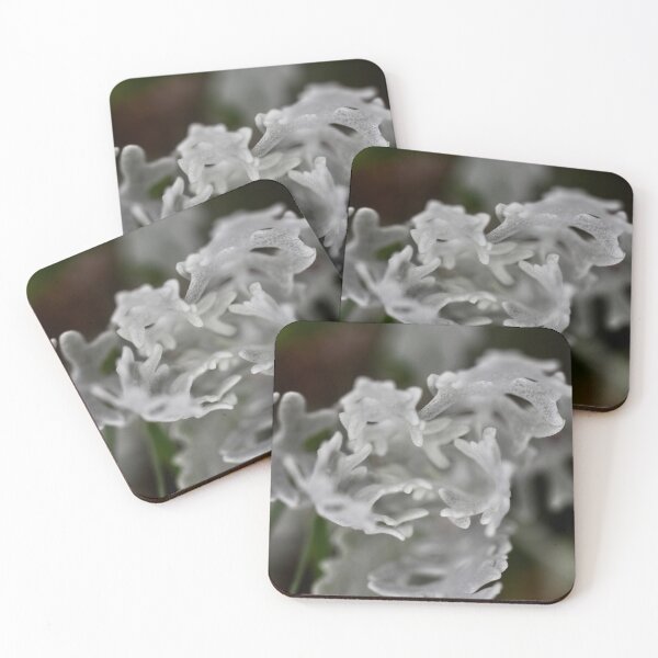 Item preview, Silver Ragwort designed and sold by Kate Anderson Art.