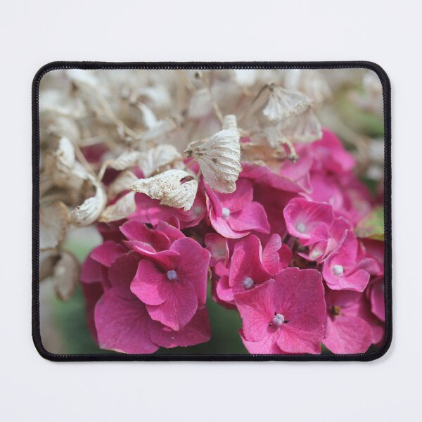 Item preview, Pink Hydrangea Flowers designed and sold by Kate Anderson Art.