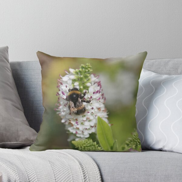 Item preview, Buff-tailed bumblebee on a Hebe designed and sold by Kate Anderson Art.