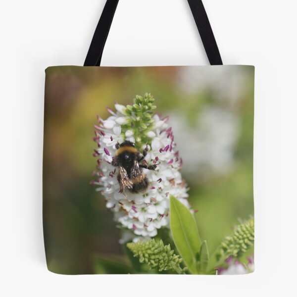 Item preview, Buff-tailed bumblebee on a Hebe designed and sold by Kate Anderson Art.