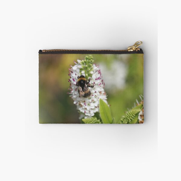 Item preview, Buff-tailed bumblebee on a Hebe designed and sold by Kate Anderson Art.