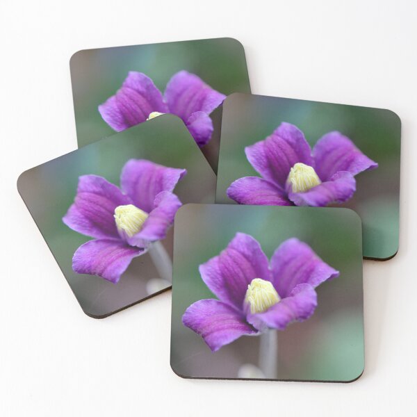 Item preview, Purple Clematis designed and sold by Kate Anderson Art.
