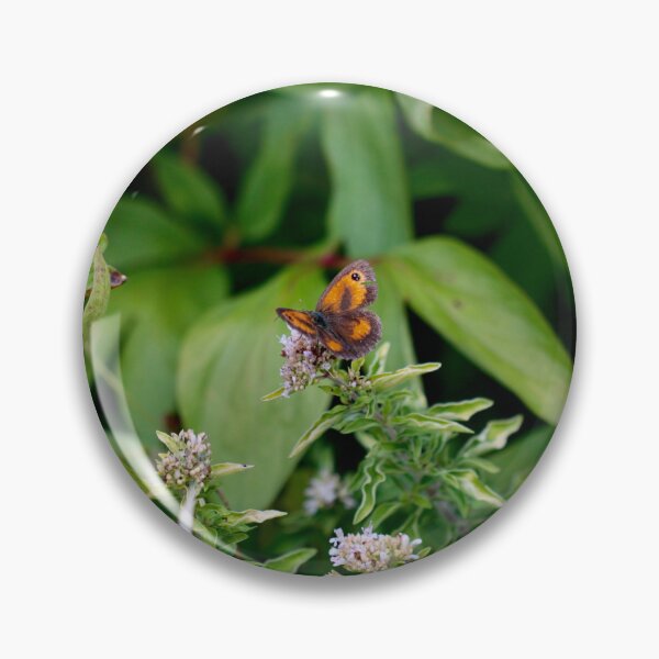 Item preview, Gatekeeper - Hedge Brown Butterfly on Thyme designed and sold by Kate Anderson Art.