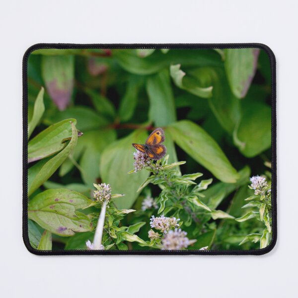 Item preview, Gatekeeper - Hedge Brown Butterfly on Thyme designed and sold by Kate Anderson Art.