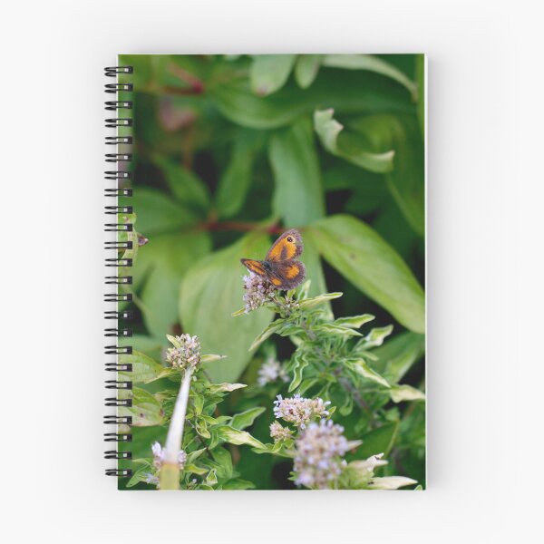 Item preview, Gatekeeper - Hedge Brown Butterfly on Thyme designed and sold by Kate Anderson Art.