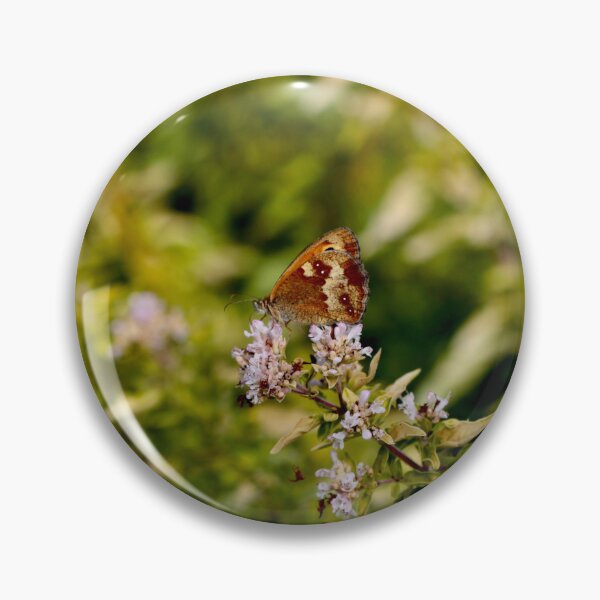 Item preview, Gatekeeper - Hedge Brown Butterfly on Thyme designed and sold by Kate Anderson Art.