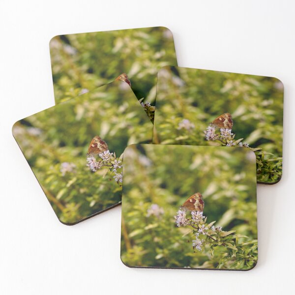 Item preview, Gatekeeper - Hedge Brown Butterfly on Thyme designed and sold by Kate Anderson Art.