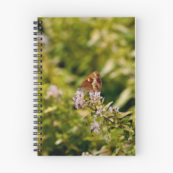 Item preview, Gatekeeper - Hedge Brown Butterfly on Thyme designed and sold by Kate Anderson Art.