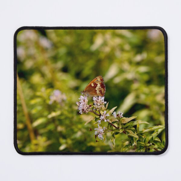 Item preview, Gatekeeper - Hedge Brown Butterfly on Thyme designed and sold by Kate Anderson Art.