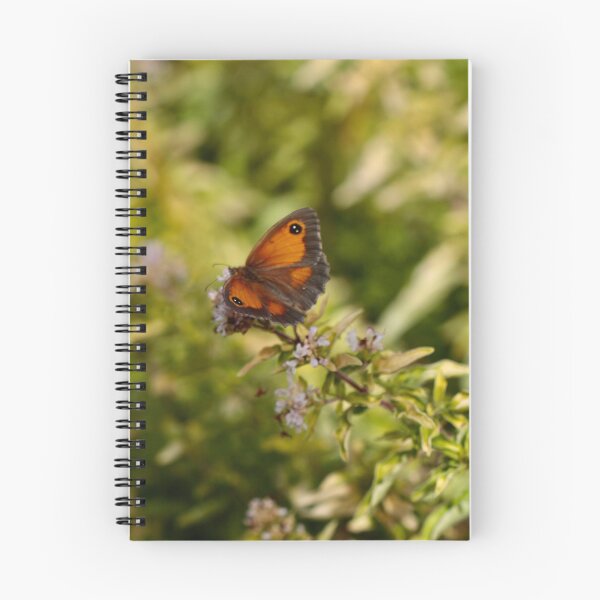 Item preview, Gatekeeper - Hedge Brown Butterfly on Thyme designed and sold by Kate Anderson Art.