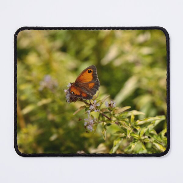 Item preview, Gatekeeper - Hedge Brown Butterfly on Thyme designed and sold by Kate Anderson Art.
