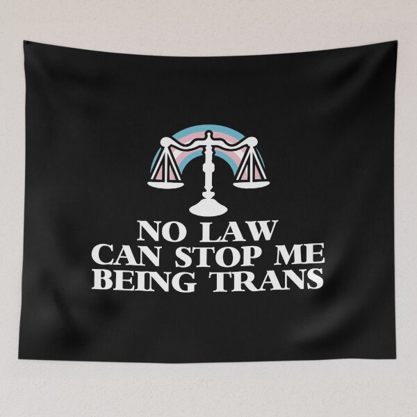 Item preview, No law can't stop me being trans designed and sold by remerasnerdas.