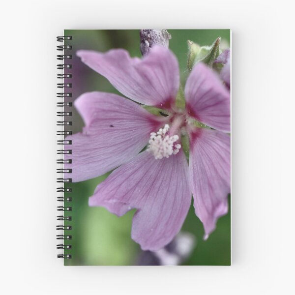 Item preview, Lavatera - Lavatera Thuringiaca designed and sold by Kate Anderson Art.