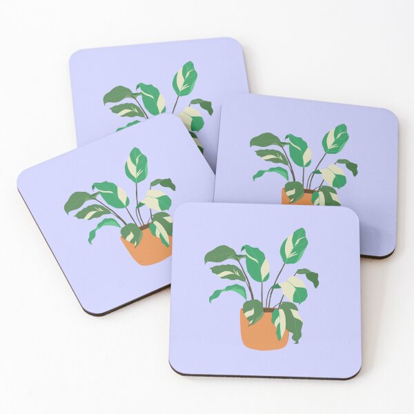 Item preview, Variegated Green and Cream Calathea Plant designed and sold by Puddlescreation.
