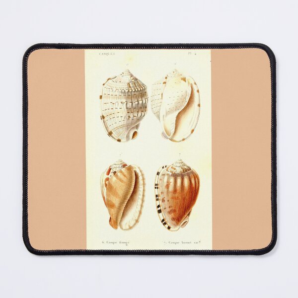 Item preview, Shell Collection designed and sold by collageDP.